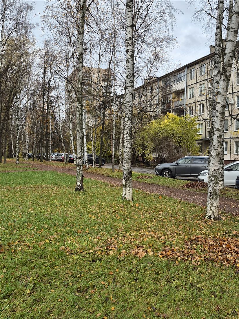 Купить 3-комнатную квартиру