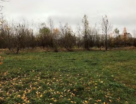 Купить  участок