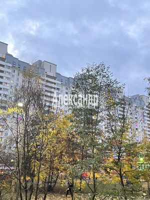 Купить 4-комнатную квартиру