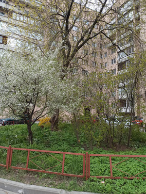 Купить 1-комнатную квартиру
