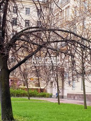 Купить 3-комнатную квартиру