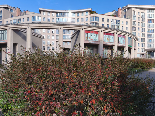 Купить 3-комнатную квартиру