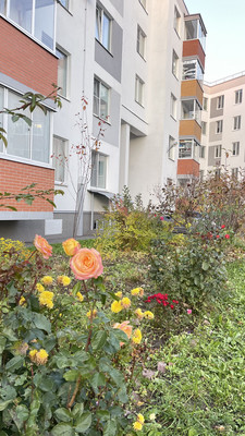 Купить 3-комнатную квартиру