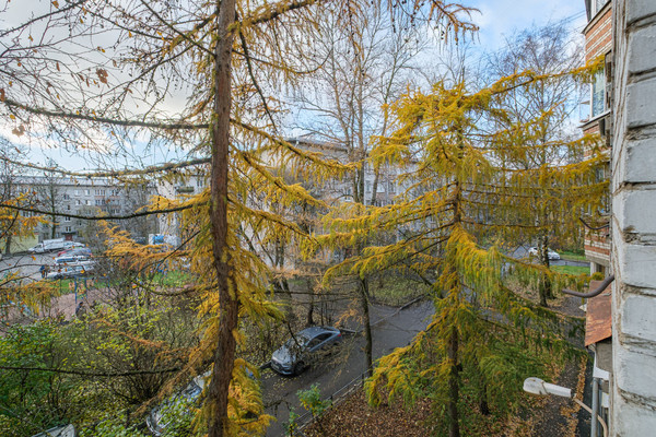 Купить 5-комнатную квартиру