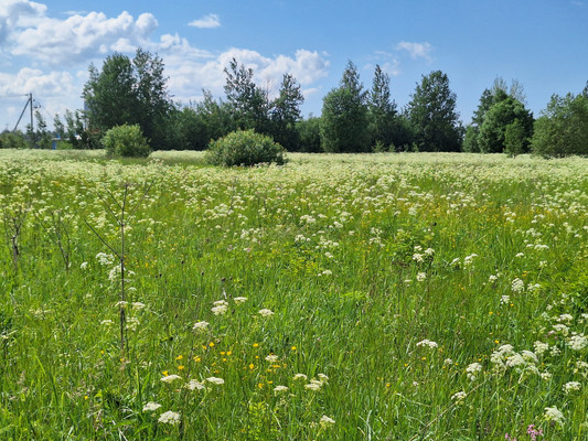 Купить  участок