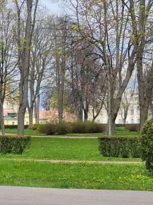 Купить  участок