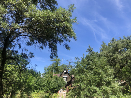 Купить  участок